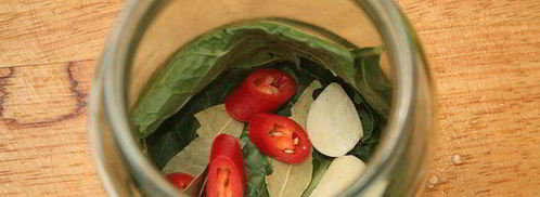 малосольные огурцы горячего засола. Шаг 4