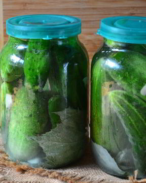 Малосольные огурцы хрустящие