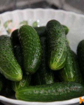 Малосольные огурцы на минеральной воде