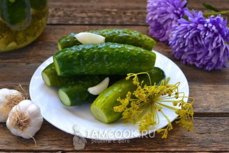 Рецепт малосольных огурцов с чесноком и укропом