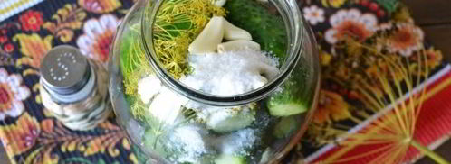 малосольные огурцы с чесноком и укропом. Шаг 10