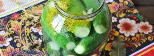 малосольные огурцы с чесноком и укропом. Шаг 11