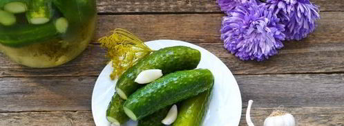 малосольные огурцы с чесноком и укропом. Шаг 16