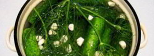 малосольные огурцы в кастрюле. Шаг 4