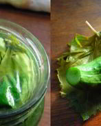 Малосольные огурцы в виноградных листьях