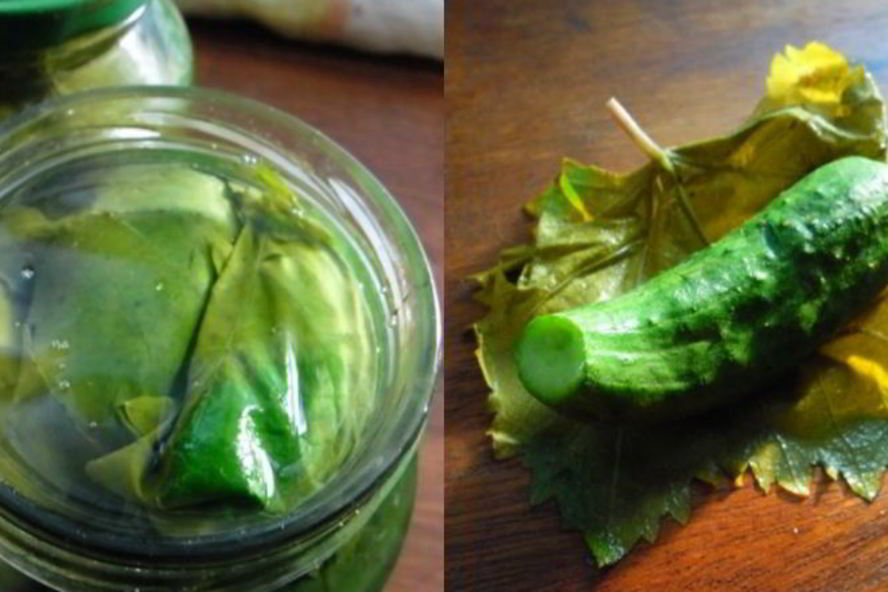 Рецепт малосольных огурцов в виноградных листьях