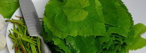 малосольные огурцы в виноградных листьях. Шаг 3