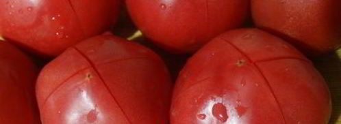 малосольные помидоры с зеленью. Шаг 6