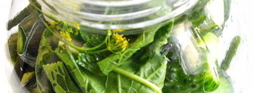 огурцы малосольные. Шаг 5