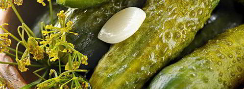 огурцы малосольные. Шаг 7