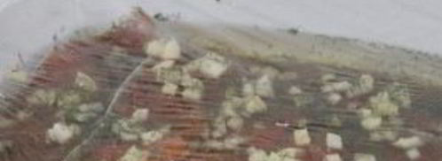 семга слабосоленая. Шаг 8