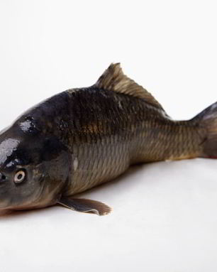 Соленый карпа