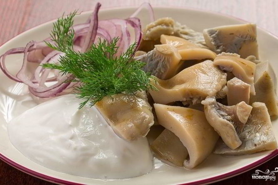 Рецепт соленых грибов со сметаной