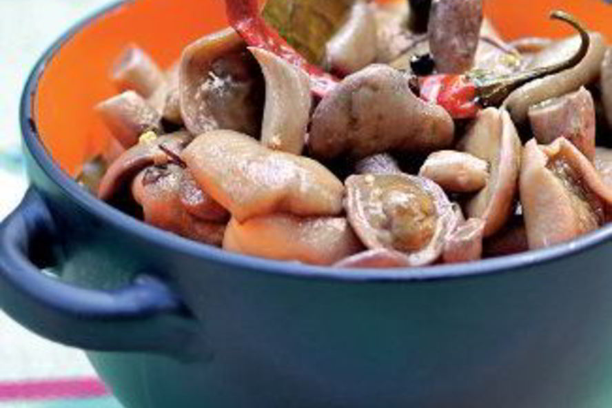 Рецепт соленых грибов