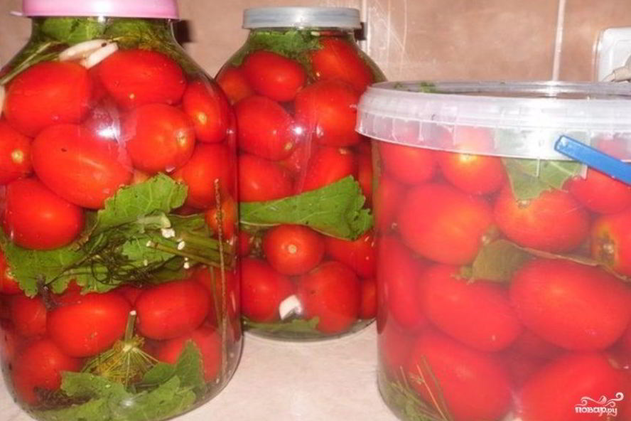 Рецепт соленых помидоров без закатки