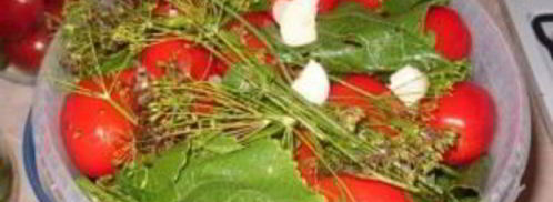 соленые помидоры без закатки. Шаг 4