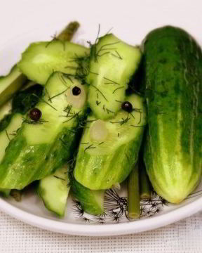 Закатка малосольных огурцов