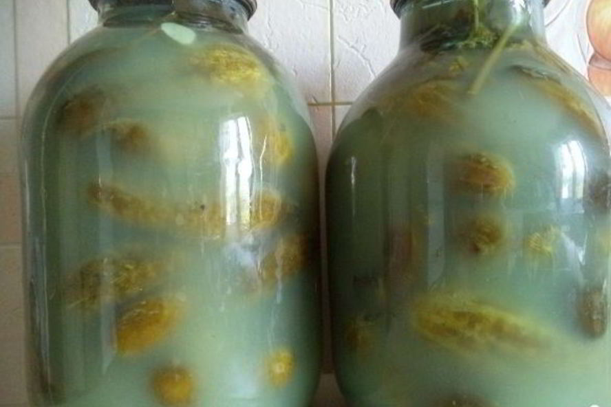 Рецепт соленых огурцов без уксуса на зиму