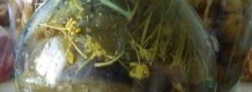 соленые огурцы без уксуса на зиму. Шаг 4