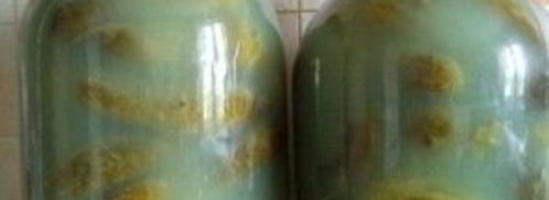 соленые огурцы без уксуса на зиму. Шаг 6