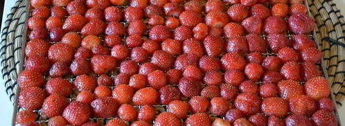 сушеные клубника, земляника, вишня и малина. Шаг 3