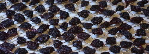 сушеные клубника, земляника, вишня и малина. Шаг 7