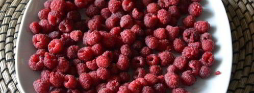 сушеные клубника, земляника, вишня и малина. Шаг 9