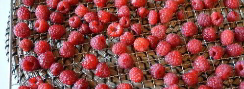 сушеные клубника, земляника, вишня и малина. Шаг 10