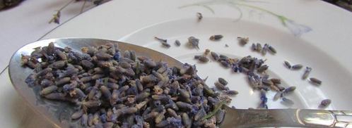 абрикосовый конфитюр с лавандой. Шаг 7