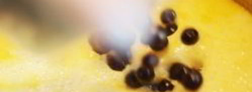 варенье из черноплодной рябины на зиму. Шаг 7