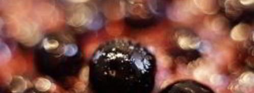 варенье из черноплодной рябины на зиму. Шаг 8