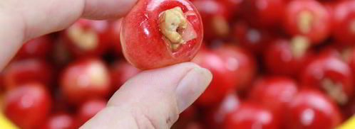 варенье из красно-желтой черешни с орехами. Шаг 4