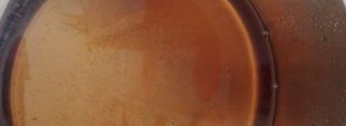 варенье из мяты. Шаг 6