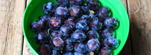 варенье из слив с грецкими орехами. Шаг 7