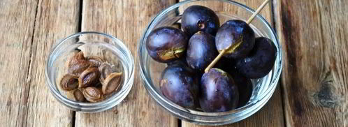 варенье из слив с грецкими орехами. Шаг 9