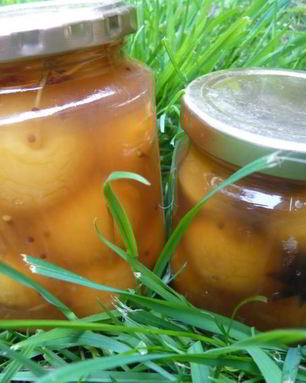 Яблоки, моченые на зиму