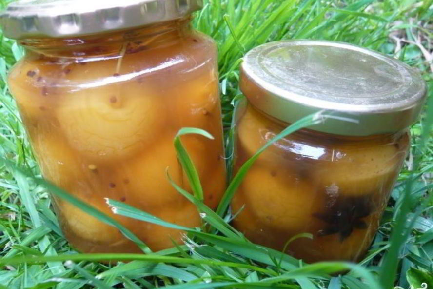 Рецепт яблок, моченых на зиму