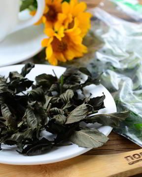 Заготовка мяты на зиму