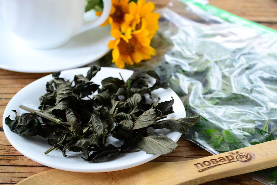 Рецепт заготовки мяты на зиму