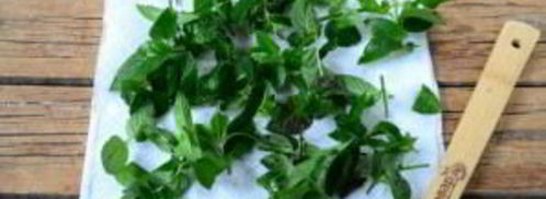 заготовка мяты на зиму. Шаг 4