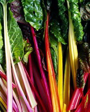 Заготовки из мангольда