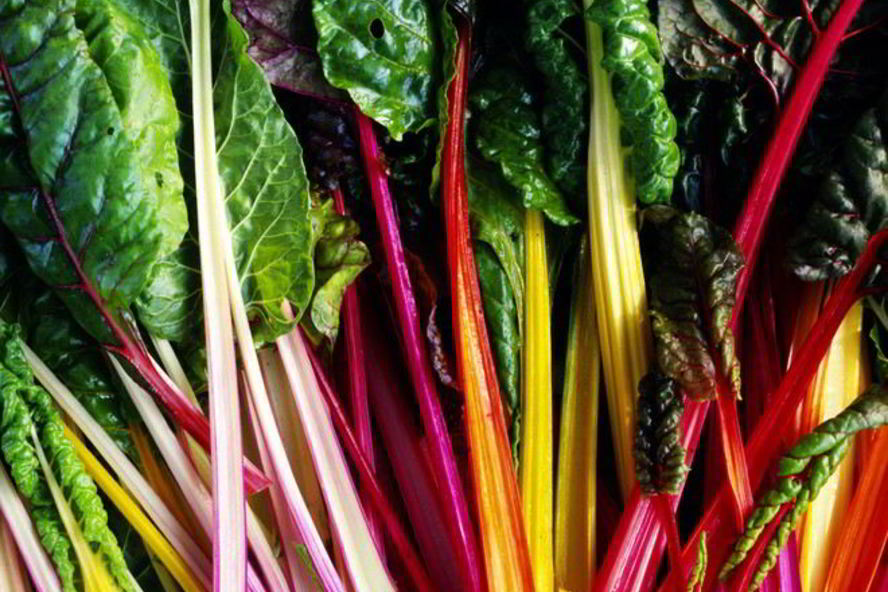 Рецепт заготовок из мангольда