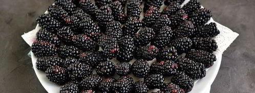 заморозка ежевики на зиму. Шаг 7