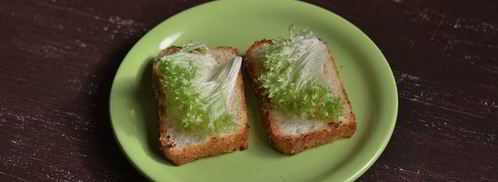 брускетта с рыбным салатом. Шаг 7