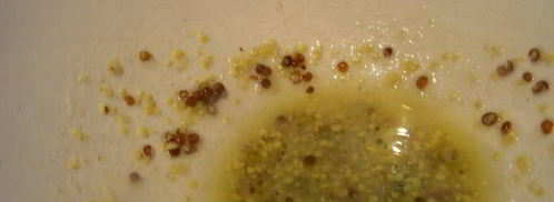 брускетта с теплым козьим сыром и уксусно-горчичной заправкой. Шаг 4