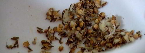 нутбургеры. Шаг 7