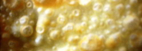 чебуреки по госту. Шаг 9