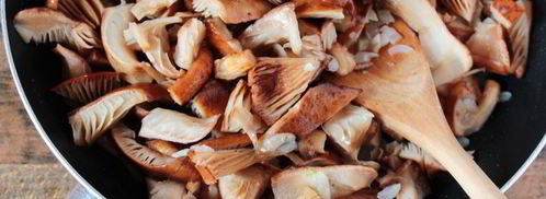 икра с опятами. Шаг 5