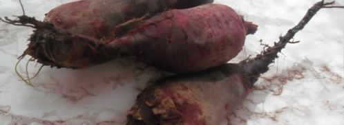 кабачковая икра со свеклой. Шаг 3