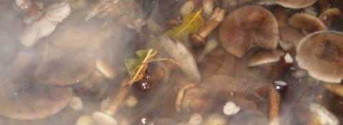 консервированная грибная икра. Шаг 3